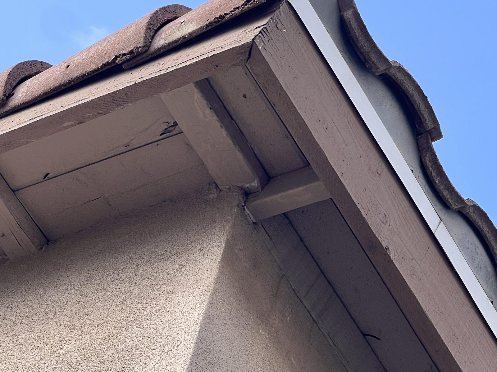 The old fascia at the corner: split, separating at the joint and eaten from behind.