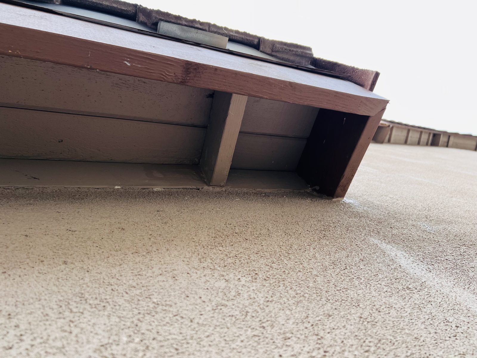 Fascia board pulled off. With it open you can see how far the damage ran along the rafter tails.